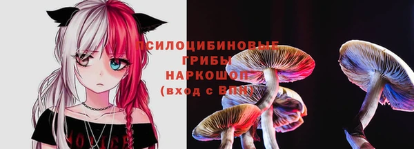амф Арсеньев