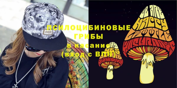 амф Арсеньев