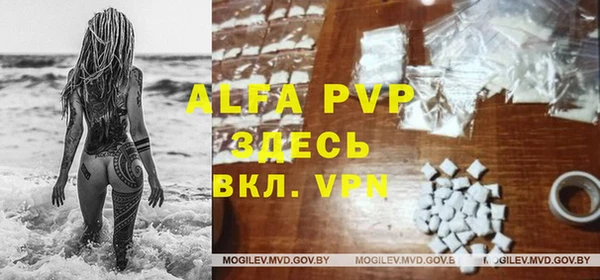 амф Арсеньев