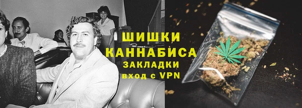 амф Арсеньев