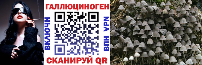 Галлюциногенные грибы Cubensis дарк нет официальный сайт Сосновоборск
