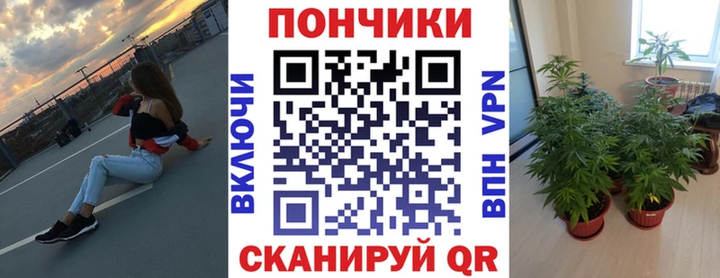 МАРИХУАНА SATIVA & INDICA  Сосновоборск 